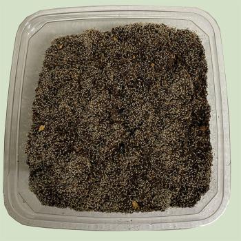 Tropical Springtails on special substrate, 0,5-Liter Can