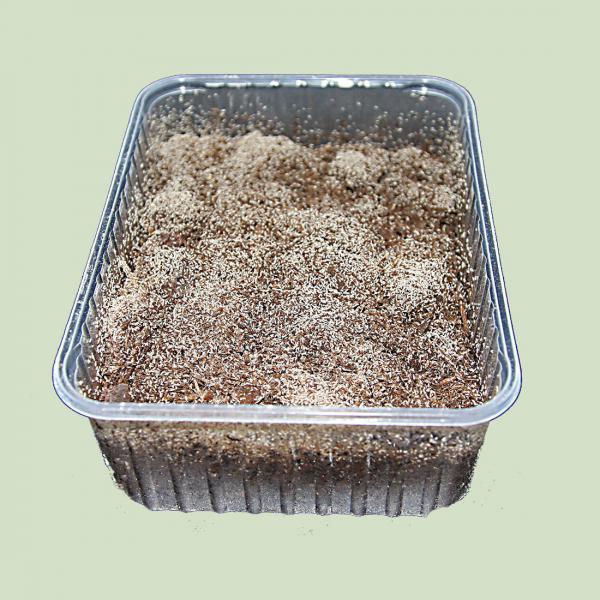 tropical-springtails-on-fine-substrate-1-liter-can